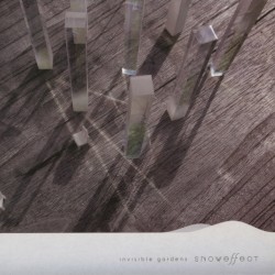 Invisible Gardens