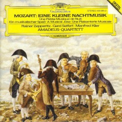 Eine kleine Nachtmusik / Ein musikalischer Spaß