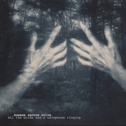 All the Birds and a Telephone Ringing