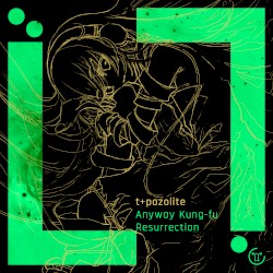 Anyway Kung-fu Resurrection