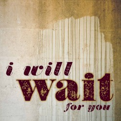 I Will Wait for You