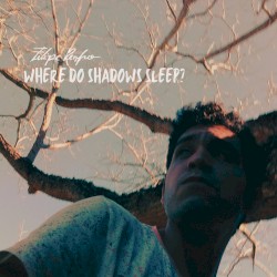 Where Do Shadows Sleep ?