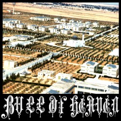 113: The Light Higher Than Eyesight