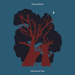 Gift From the Trees