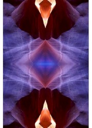 Floccinaucinihilipilification