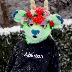 DANCE DOGGIE DANCE ( WIRED OUT )