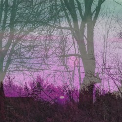 immature / psychosomatic