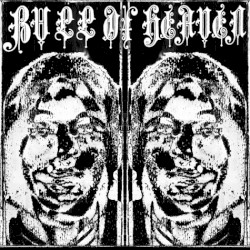 008: A Wall Between Two Gardens