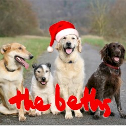 Have Yourself a Merry Little Christmas (live at Leigh Sawmill)