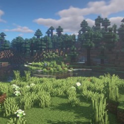 why did i trust you and not my friends