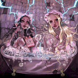 LIZER & FLESH