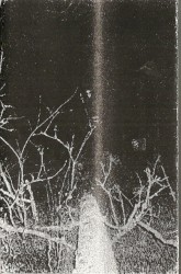 The Song of a Long Forgotten Ghost