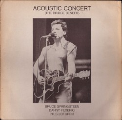 Acoustic Concert: The Bridge Benefit