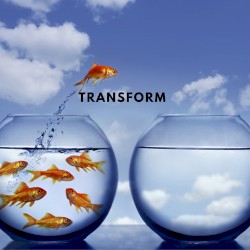 Transform