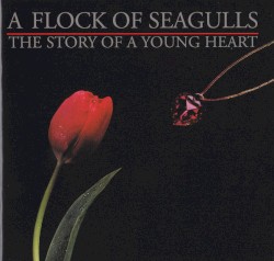 The Story of a Young Heart