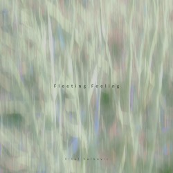 Fleeting Feeling