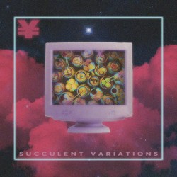 SUCCULENT VARIATIONS
