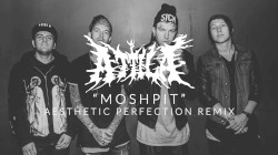 Moshpit (Aesthetic Perfection remix)