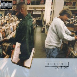 Endtroducing.....
