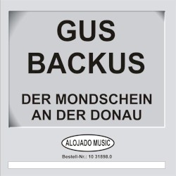 Der Mondschein an der Donau