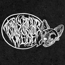 A Better Kind of Shot