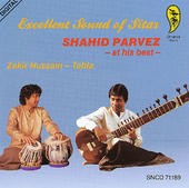 Excellent Sound of Sitar