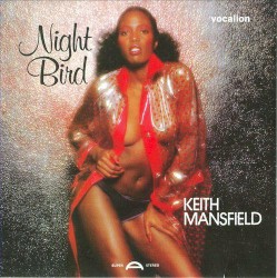 Night Bird