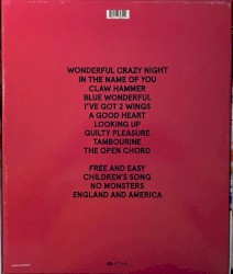 Wonderful Crazy Night