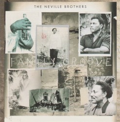 Family Groove
