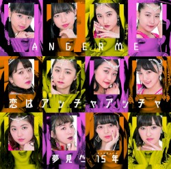 恋はアッチャアッチャ / 夢見た 15年(フィフティーン)