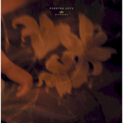 FOREVER LOVE