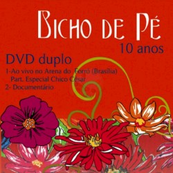 Bicho de Pé 10 Anos - ao Vivo