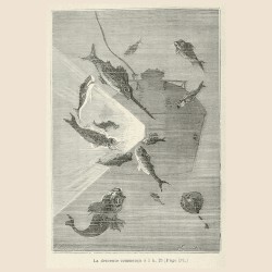 La descente commença à 1 h. 25