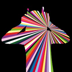 It’s Alright, It’s OK