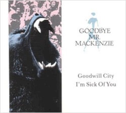 Goodwill City / I’m Sick of You