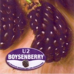 Boysenberry: U2 Fruitleg Remixes Not for Propaganda
