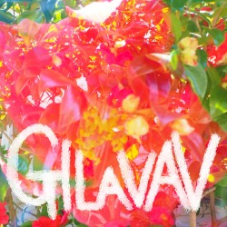 GILAVAV