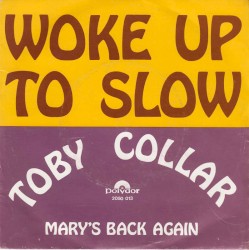 Woke Up to Slow / Mary's Back Again