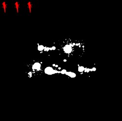 003