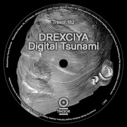 Digital Tsunami