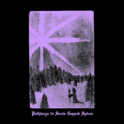 Pathways to Snow Capped Spires (split w/ Winter Pathways)