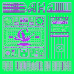 Time Traveling by Mistake