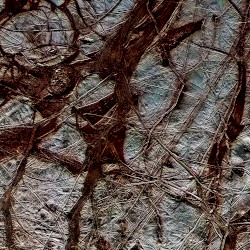Erratic Liquid Under the Surface of Europa