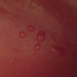 Water Running on Various Things