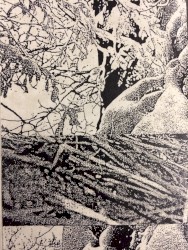 Frost Cracking Trees