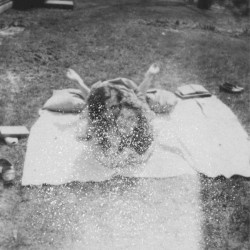 Eight Views of a Summer