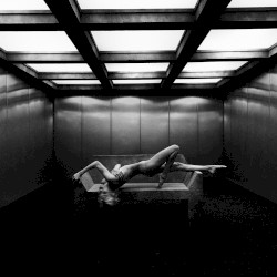 reverie