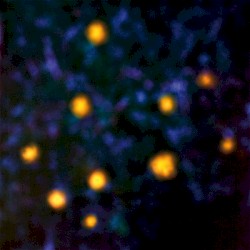 Daemmerlicht
