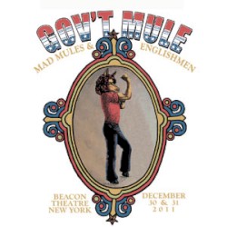 2011-12-31: Mad Mules & Englishmen: The Beacon Theatre, New York City, NY, USA
