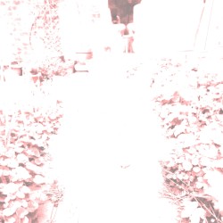 Underneath the Stars